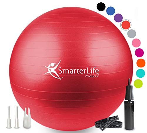 SmarterLife Exercise Ball 